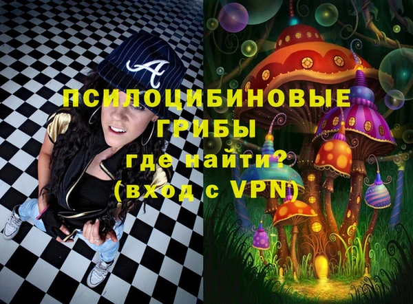 шишки Иннополис