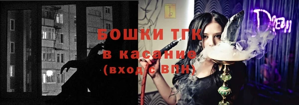 стаф Инта