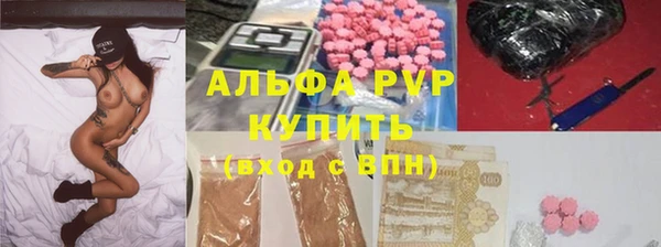 стаф Инта