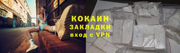 стаф Инта