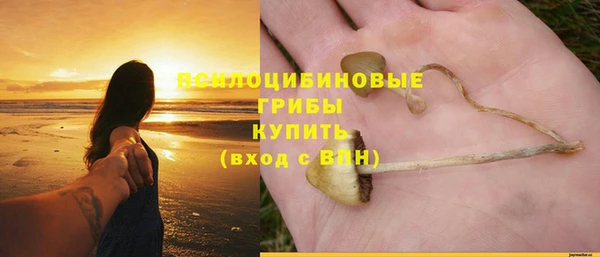 стаф Инта