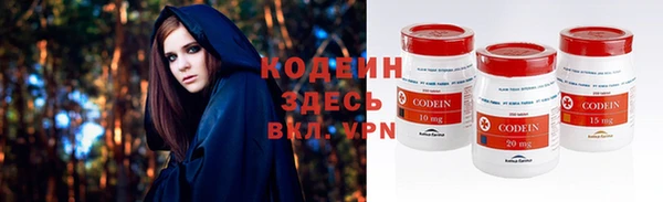 шишки Иннополис