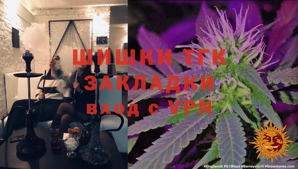 стаф Инта