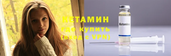 стаф Инта