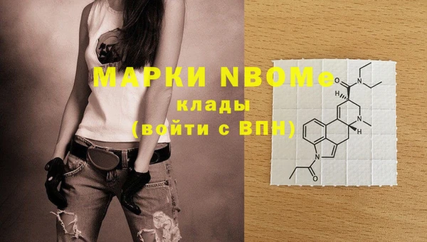 шишки Иннополис
