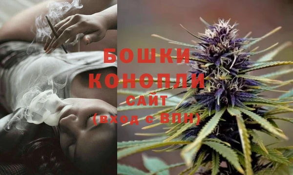 шишки Иннополис