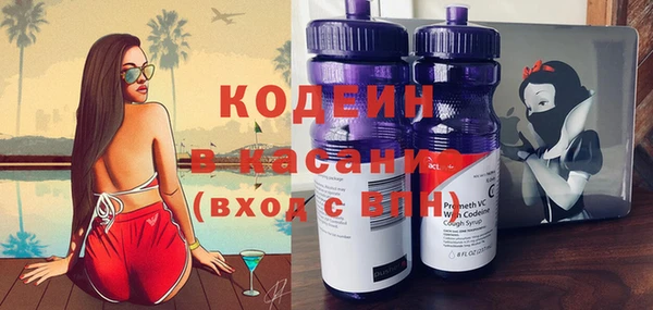 шишки Иннополис