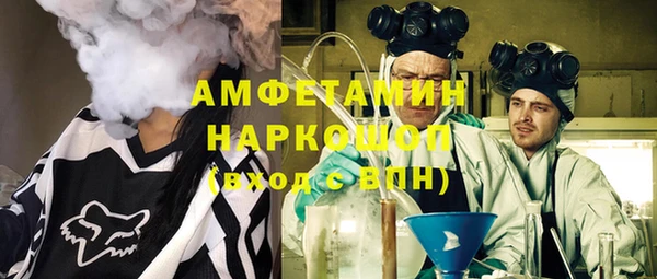 стаф Инта