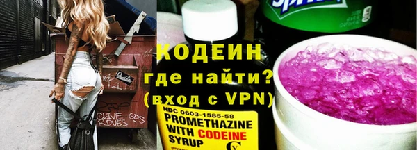 стаф Инта