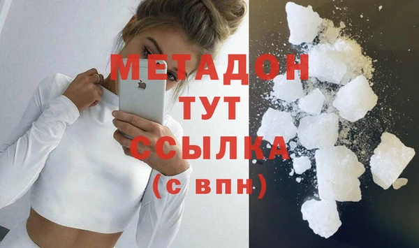 стаф Инта