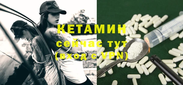 стаф Инта