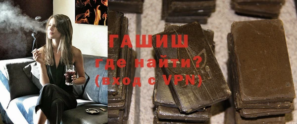 стаф Инта