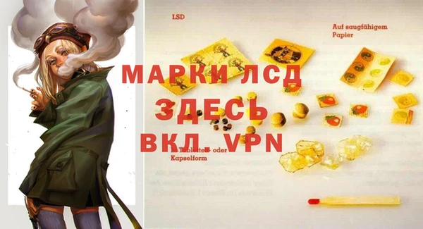 стаф Инта